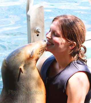 sea lion kiss, bucket list item